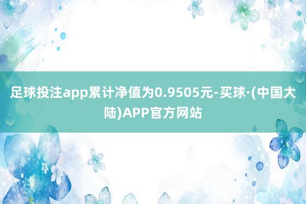 足球投注app累计净值为0.9505元-买球·(中国大陆)APP官方网站