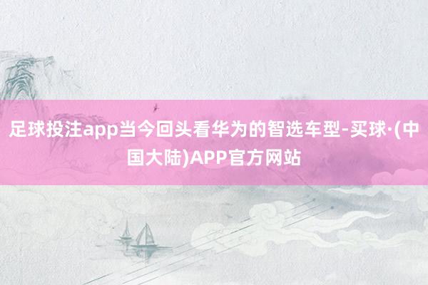 足球投注app当今回头看华为的智选车型-买球·(中国大陆)APP官方网站