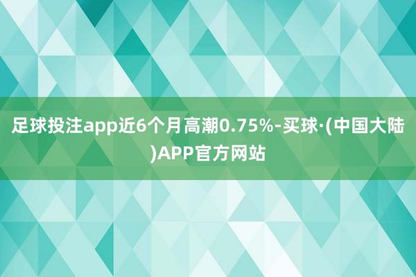 足球投注app近6个月高潮0.75%-买球·(中国大陆)APP官方网站