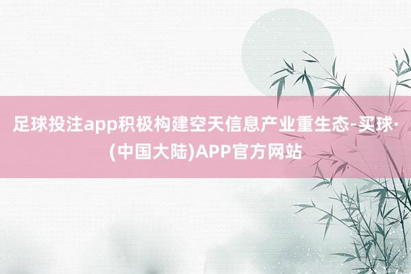 足球投注app积极构建空天信息产业重生态-买球·(中国大陆)APP官方网站