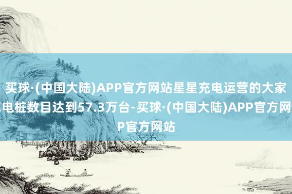 买球·(中国大陆)APP官方网站星星充电运营的大家充电桩数目达到57.3万台-买球·(中国大陆)APP官方网站