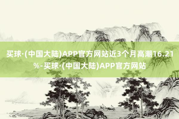 买球·(中国大陆)APP官方网站近3个月高潮16.21%-买球·(中国大陆)APP官方网站