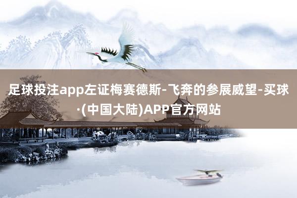 足球投注app　　左证梅赛德斯-飞奔的参展威望-买球·(中国大陆)APP官方网站