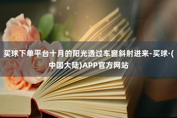 买球下单平台十月的阳光透过车窗斜射进来-买球·(中国大陆)APP官方网站