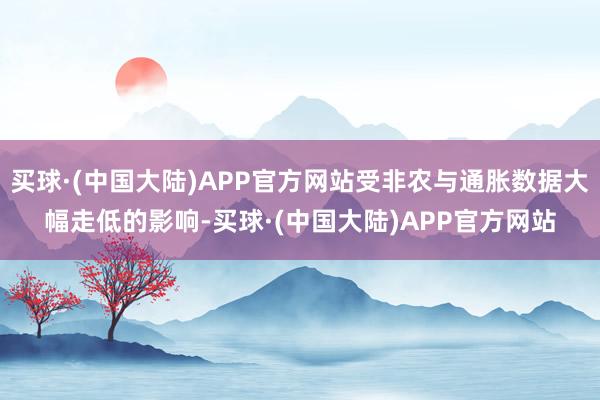 买球·(中国大陆)APP官方网站受非农与通胀数据大幅走低的影响-买球·(中国大陆)APP官方网站