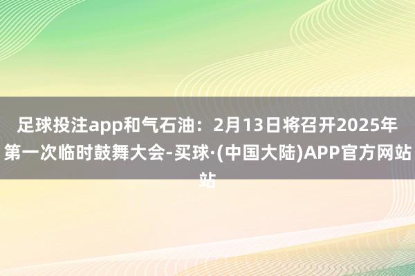 足球投注app和气石油：2月13日将召开2025年第一次临时鼓舞大会-买球·(中国大陆)APP官方网站