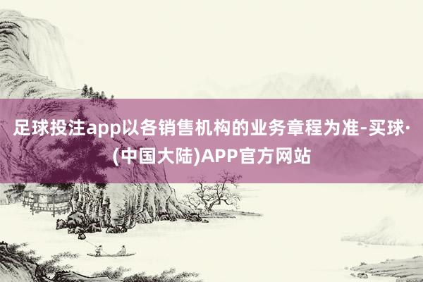 足球投注app以各销售机构的业务章程为准-买球·(中国大陆)APP官方网站